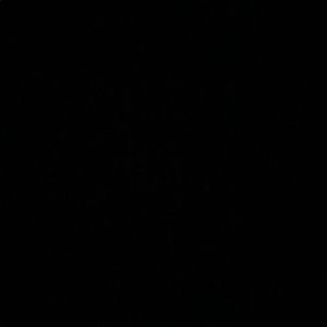 Meet your Posher, Logan